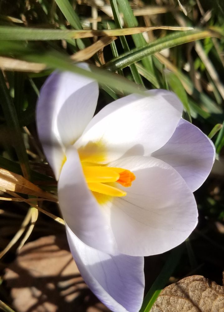 Morgendlicher Schnappschuß .....