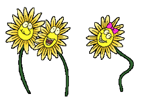 sonnenblumen_0014.gif