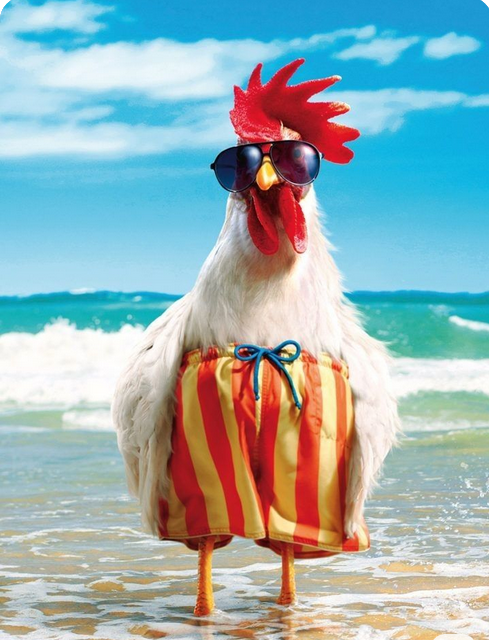 Screenshot 2025-04-12 083007.png