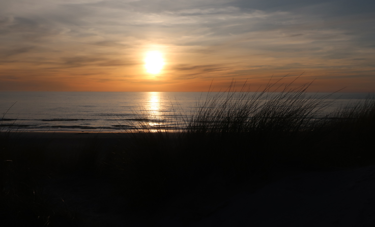 Screenshot 2025-04-20 235027.png