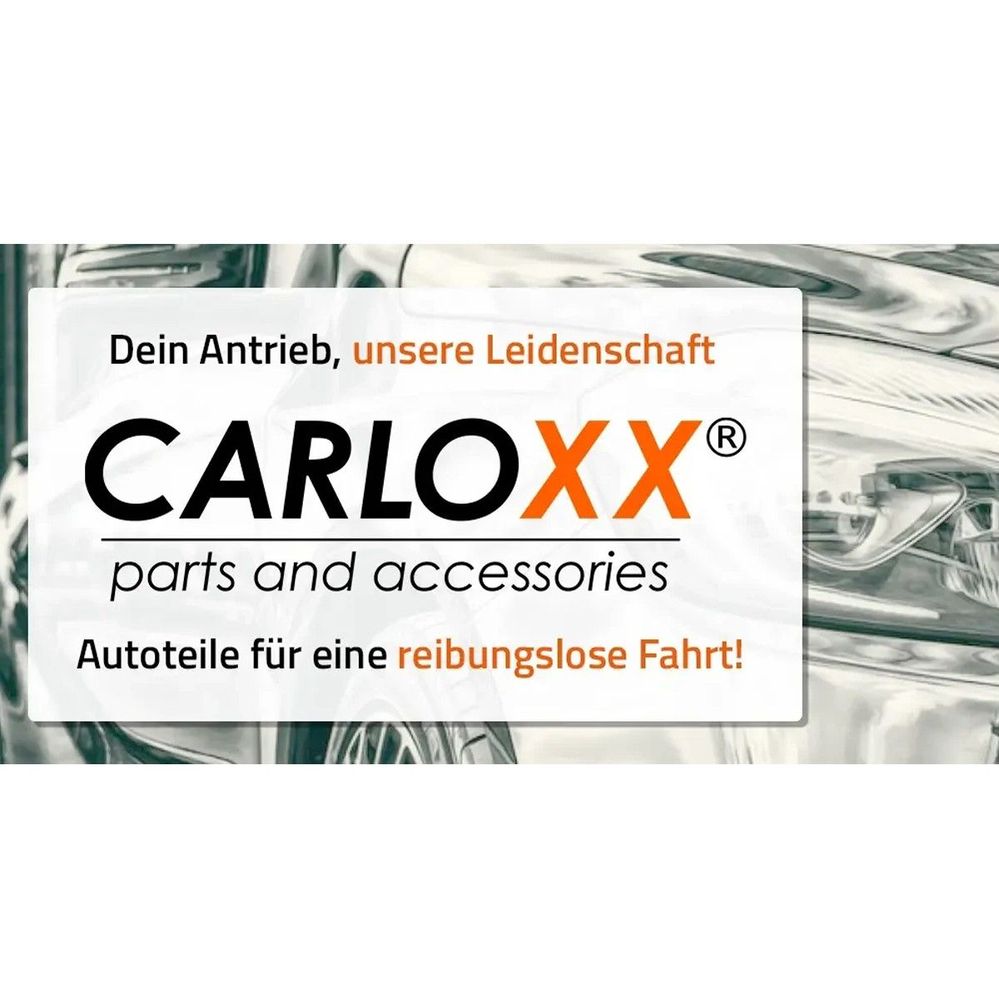 Von vollen Lagerregalen zum internationalen Business – die Erfolgsstory der Carloxx GmbH