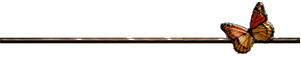 butterfly20bar.gif