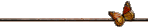 butterfly20bar.gif