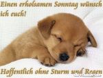Ssonntag.PNG