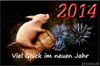 Silversterschwein 2014.jpg