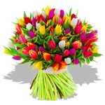 x3916-eine_tonne_tulpen.jpg.pagespeed.ic.bX2knFb2OJ.jpg