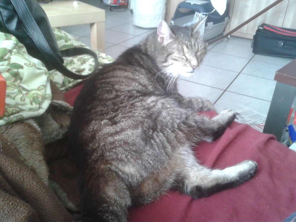 2014-04-07 13.06.25.jpg