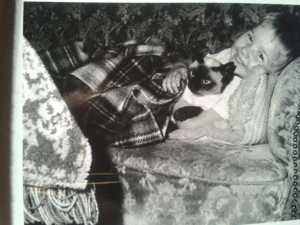 2014-05-02 00.39.01.jpg