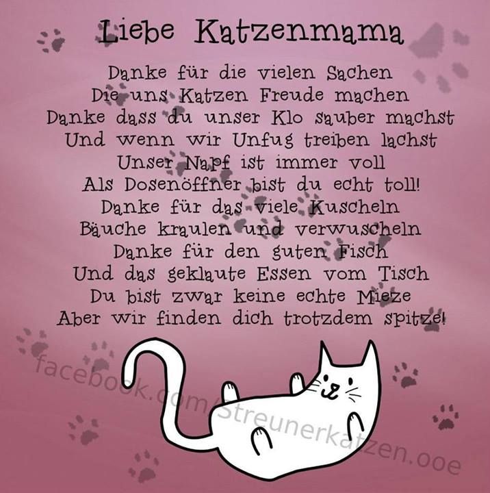 Liebe Katzenmama.jpg