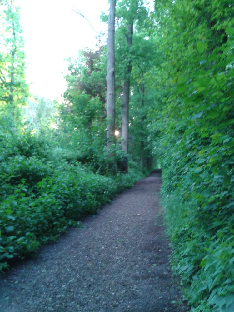 2014-05-07 20.25.39.jpg