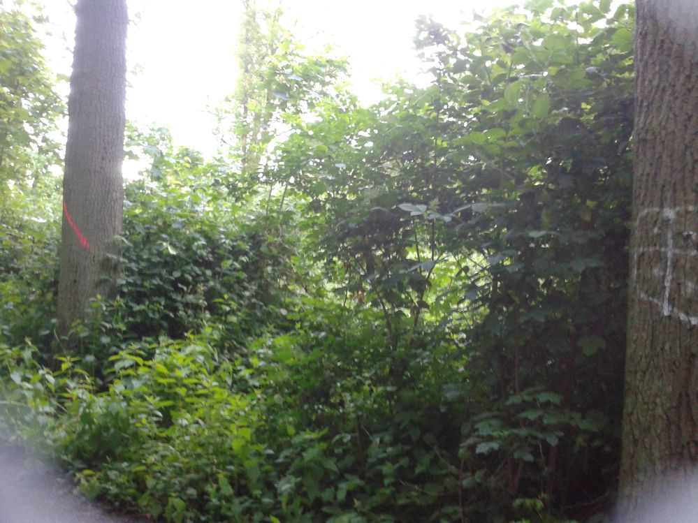 2014-05-07 20.24.16.jpg