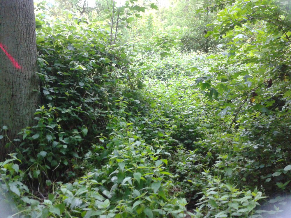 2014-05-07 20.24.54.jpg