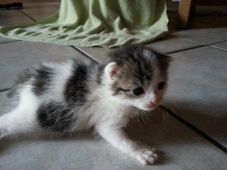 10522418_878488332180413_1058232126_n (2).jpg