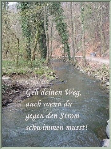geh_deinen_weg.jpg
