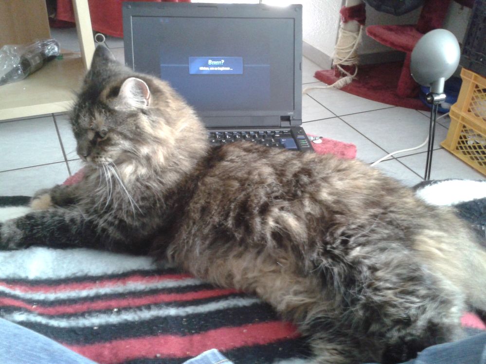 2014-09-30 12.55.57.jpg