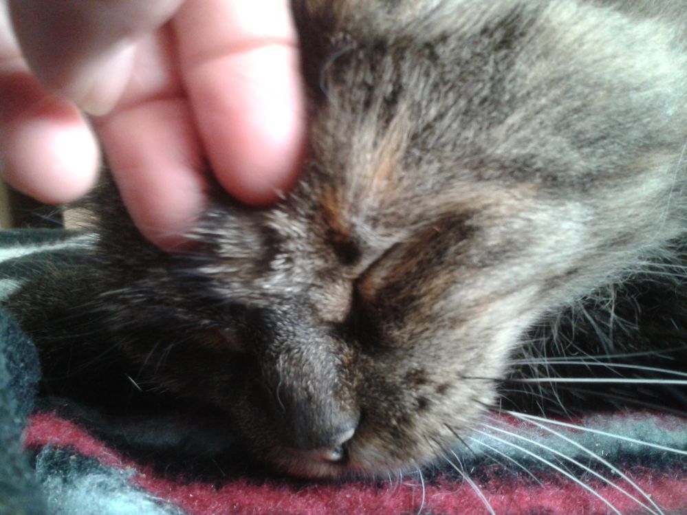 2014-09-30 12.57.48.jpg