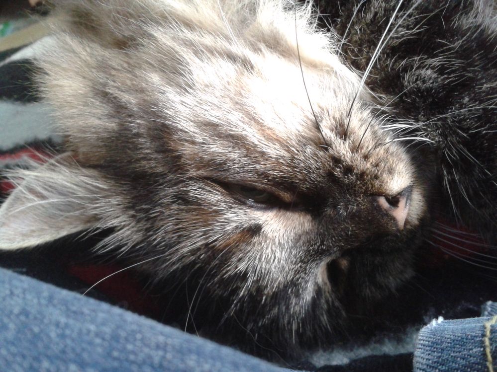 2014-09-30 13.00.42.jpg