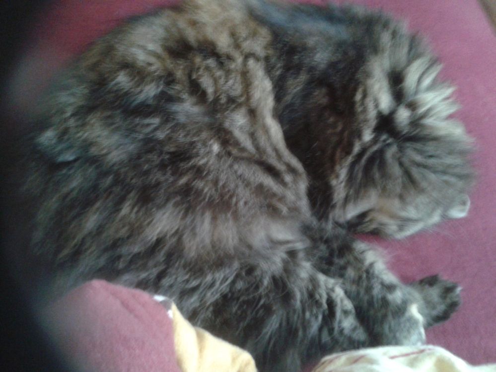 2014-08-26 10.59.34.jpg