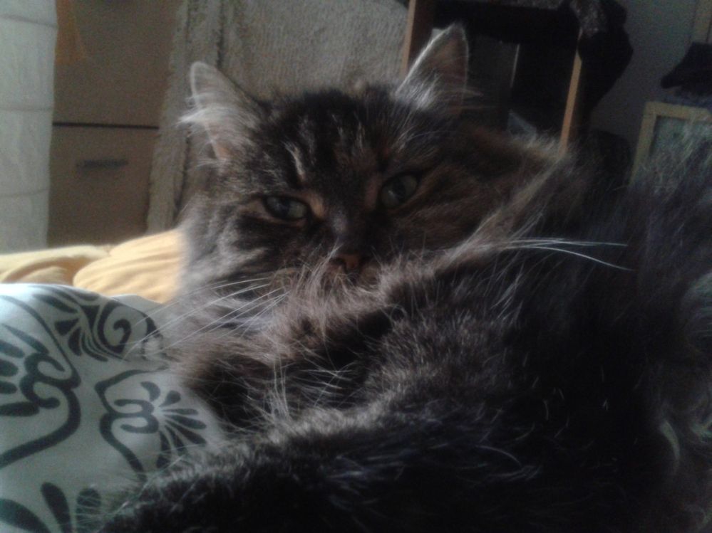 2014-11-08 16.09.20.jpg