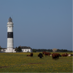 Schnappschuss von mir 3.png