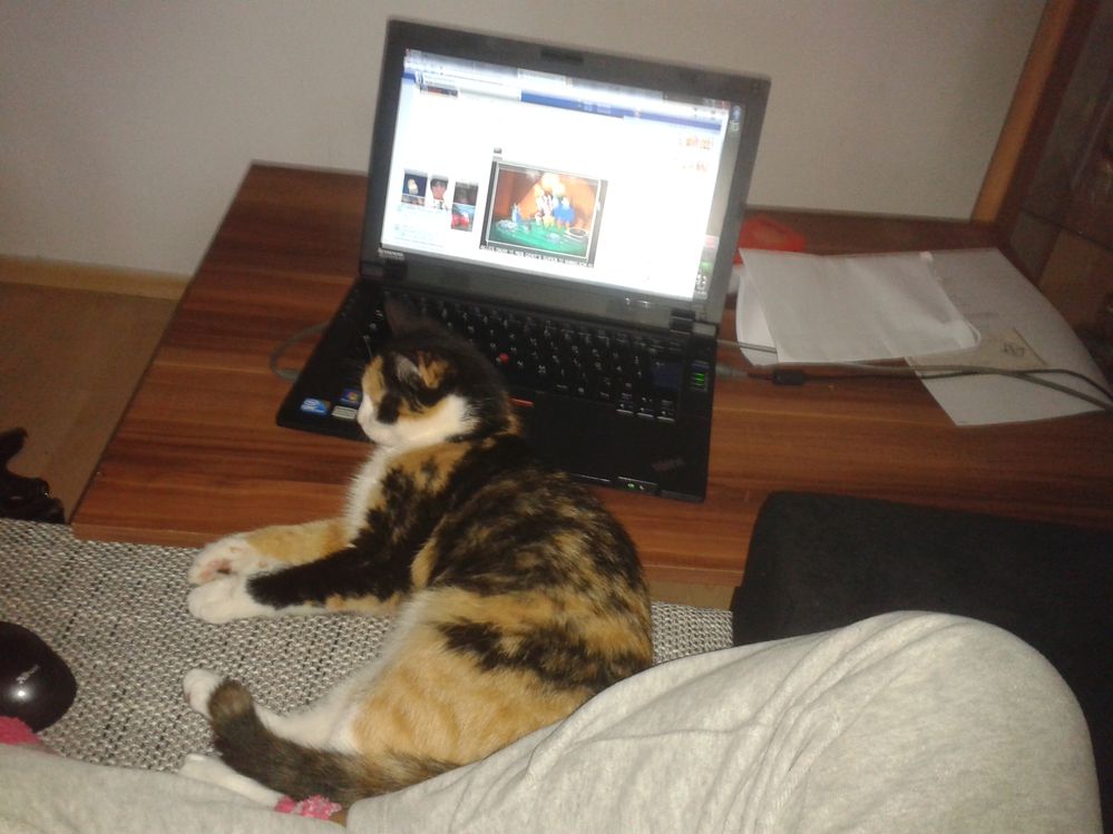 2014-11-30 14.09.11.jpg