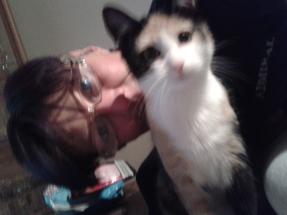 2014-11-29 00.44.11.jpg