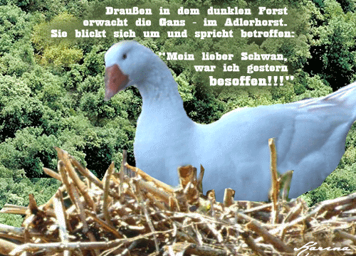 gans_im_adlerhorst.gif