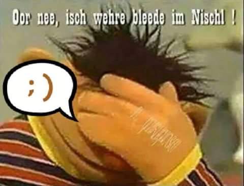 10947211_807485272655365_6209547561979456421_n.jpg