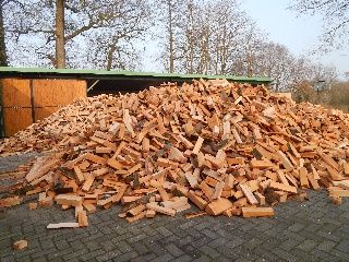 Feuerholz März 2014 Buche.jpg