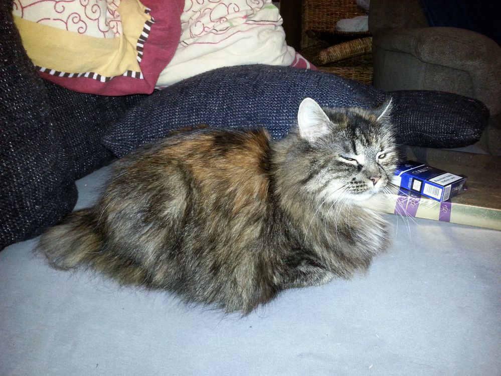 2016-04-19 21.19.43.jpg