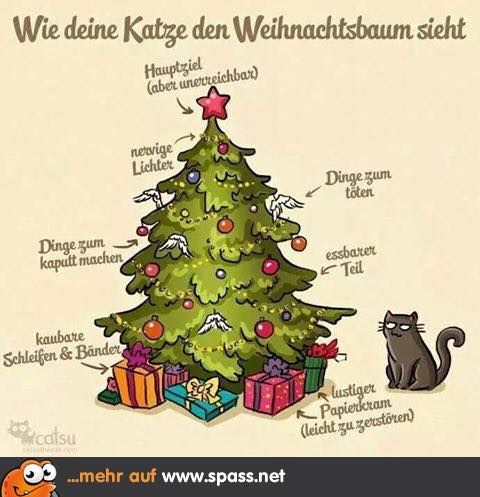 Weihnachtsbaum-Katze.jpg