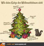 Weihnachtsbaum-Katze.jpg
