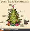 Weihnachtsbaum-Katze.jpg