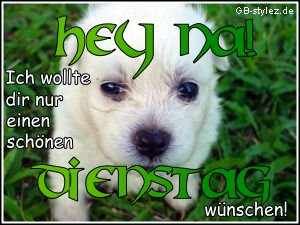 005-hund-dienstag-www.gb-stylez.de.jpg