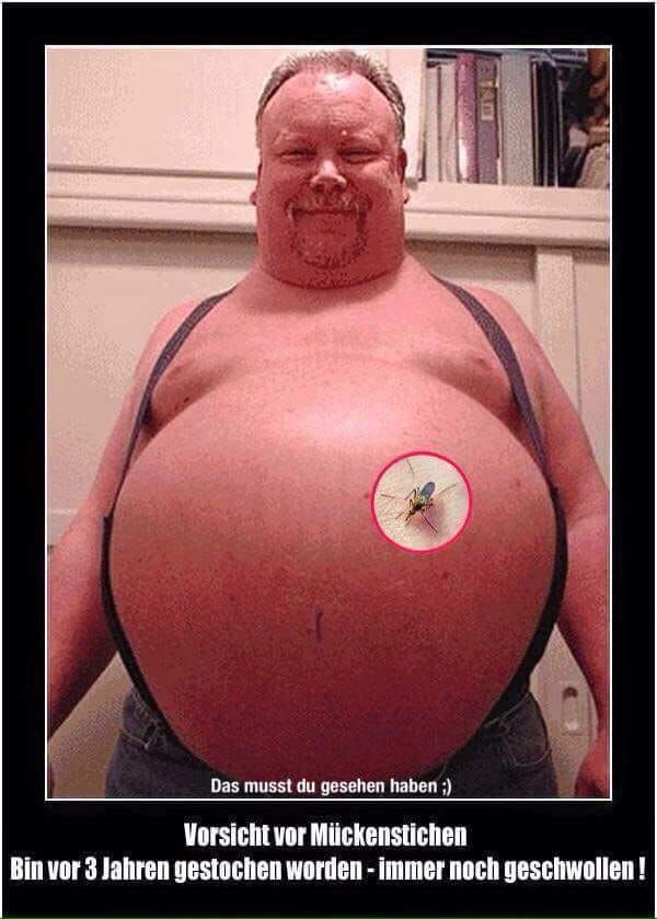 Guten Morgen und schönen Sonntag .....