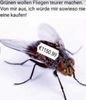 fliegen.jpg