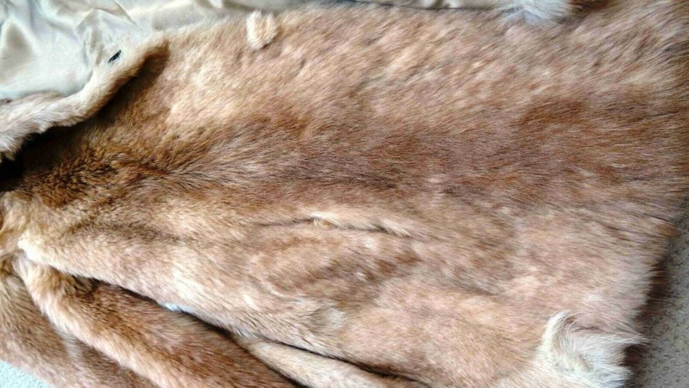 184020826260 --- 6.jpg