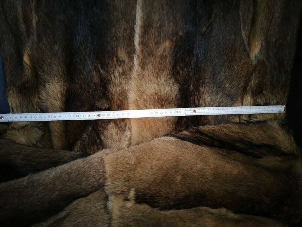 254440892207 --- 8.jpg