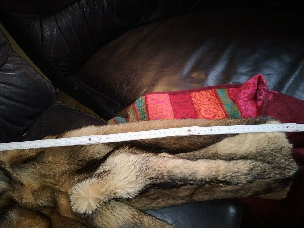 254440892207 --- 9.jpg