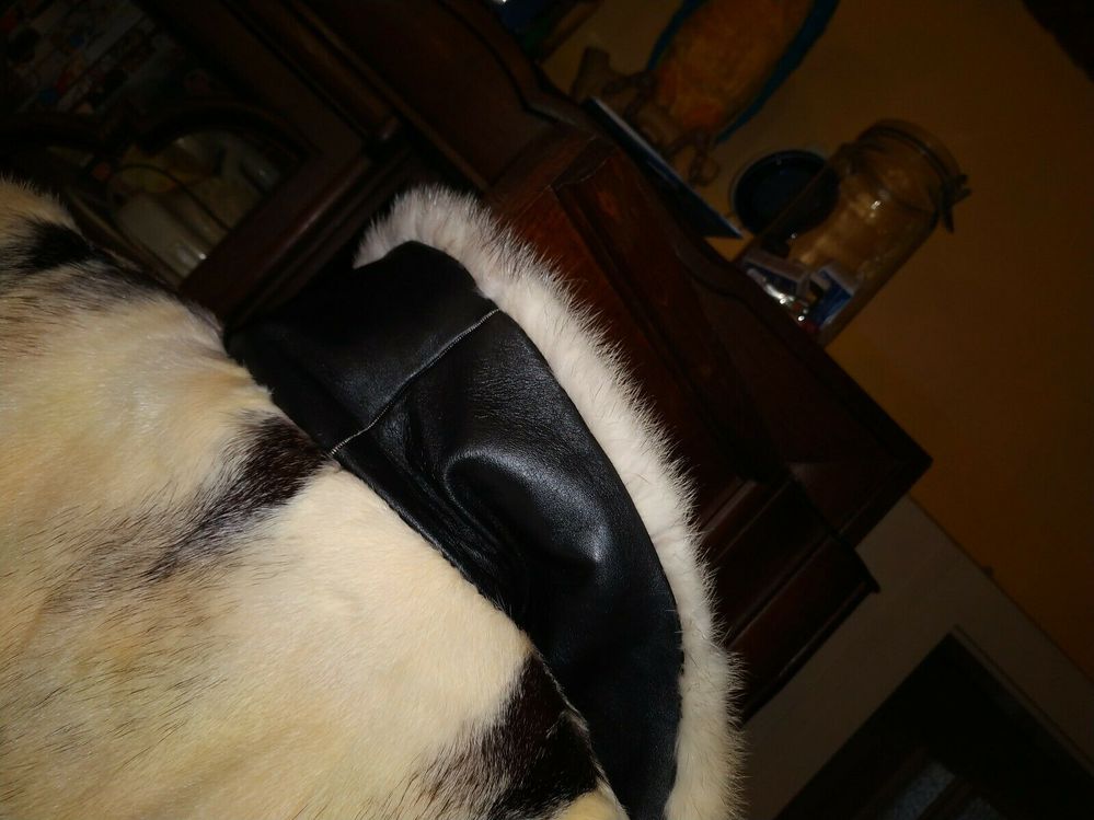 254440906812 --- 3.jpg