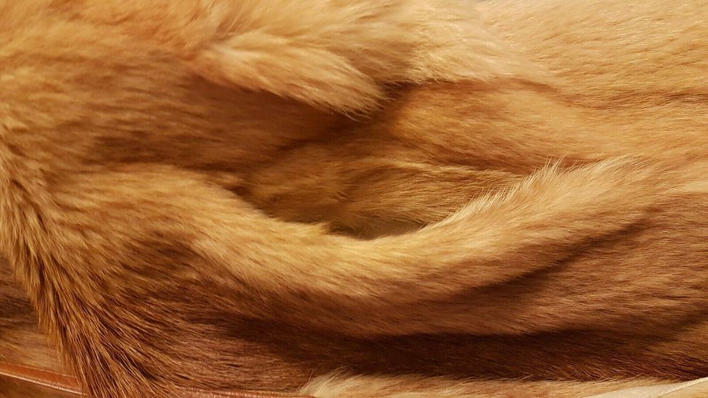 274133798823 --- 4.jpg