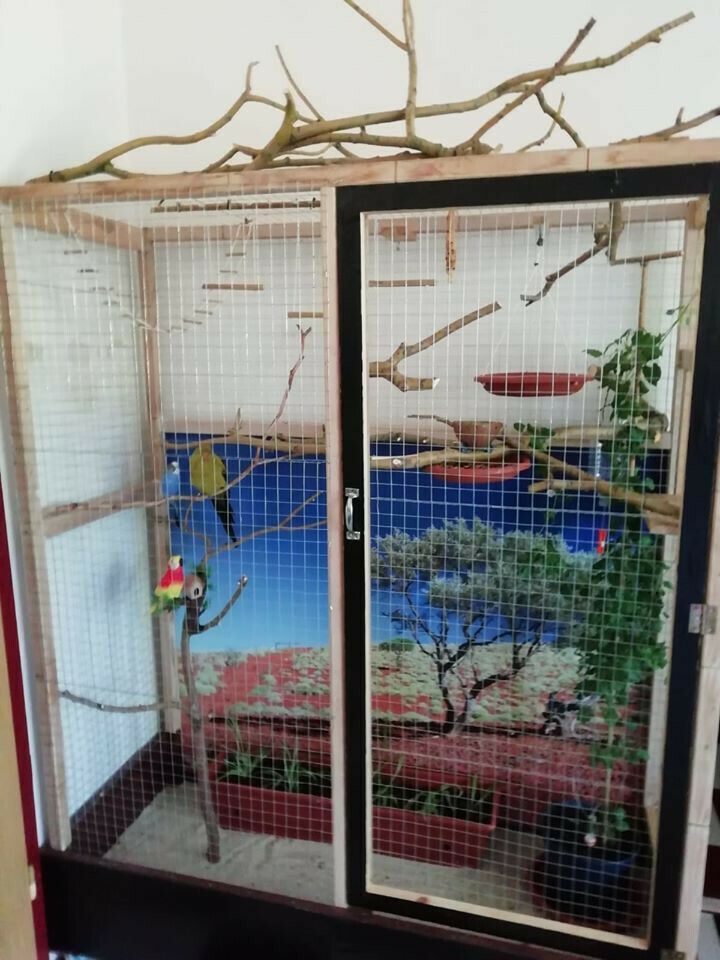 392653942686 --- 1.jpg