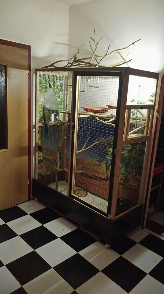 392653942686 --- 2.jpg