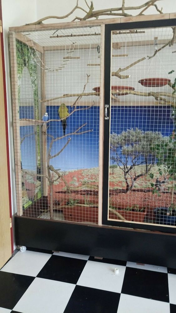 392653942686 --- 5.jpg