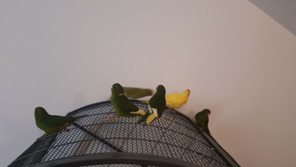 202863673020 - 3.jpg