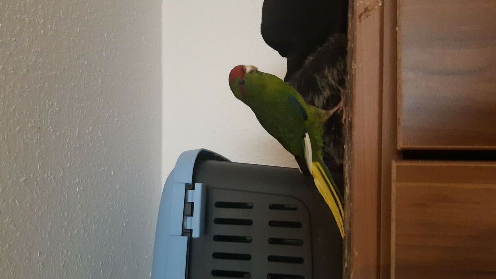 202863673020 - 5.jpg