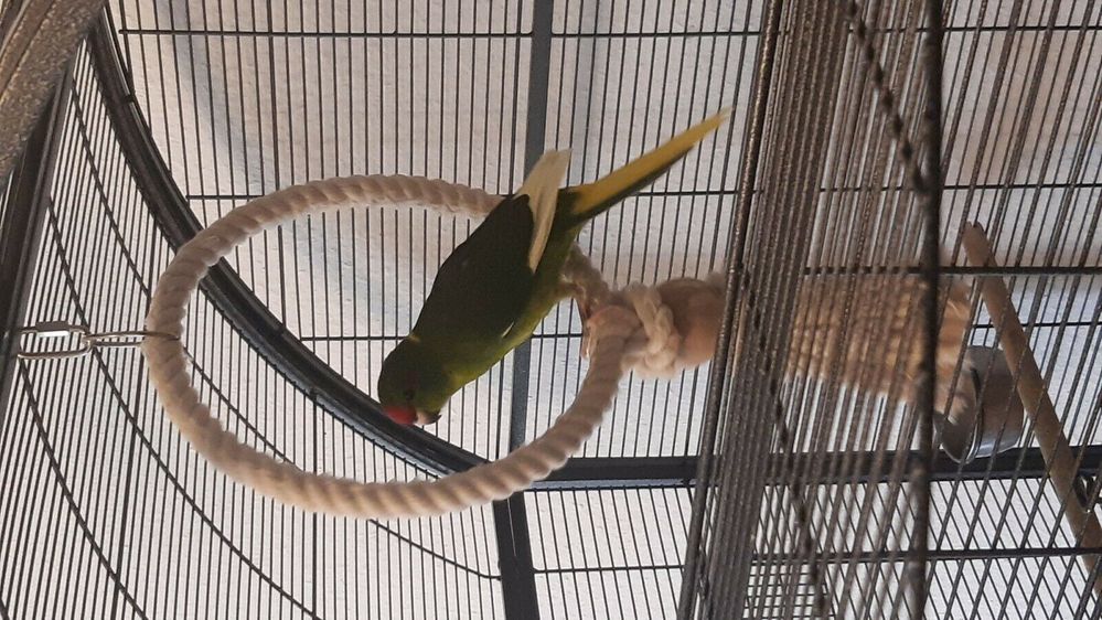 202863673020 - 6.jpg