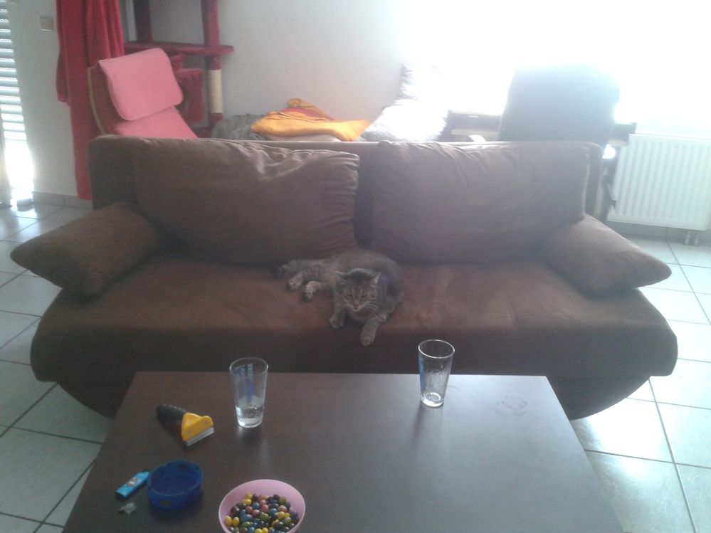 Couch 2013-08-27_15.12.00.jpg