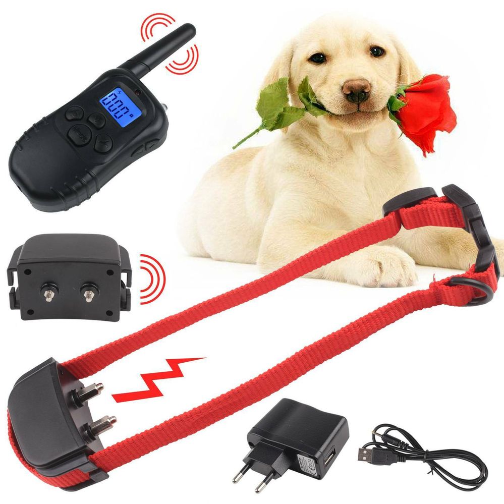 124135099743 --- 1.jpg