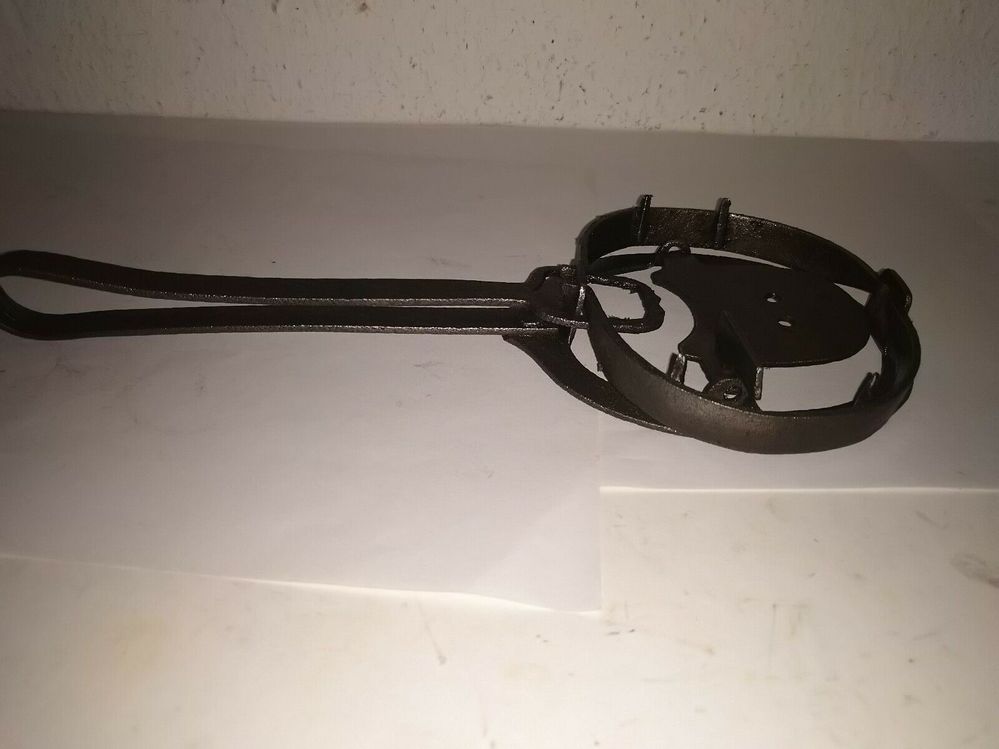 373117285117 --- 6.jpg